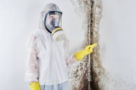 Why You Should Choose Our Mold Remediation Services in Bethany, OR